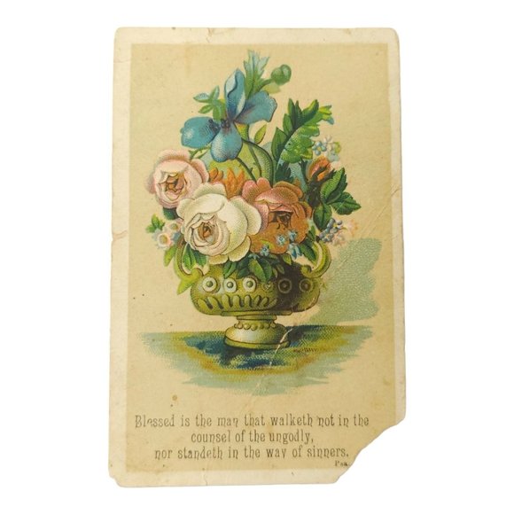 Victorian 3 Trade Cards Floral Bouquet Bird Nest Child With Sled Advertisement - Picture 3 of 10